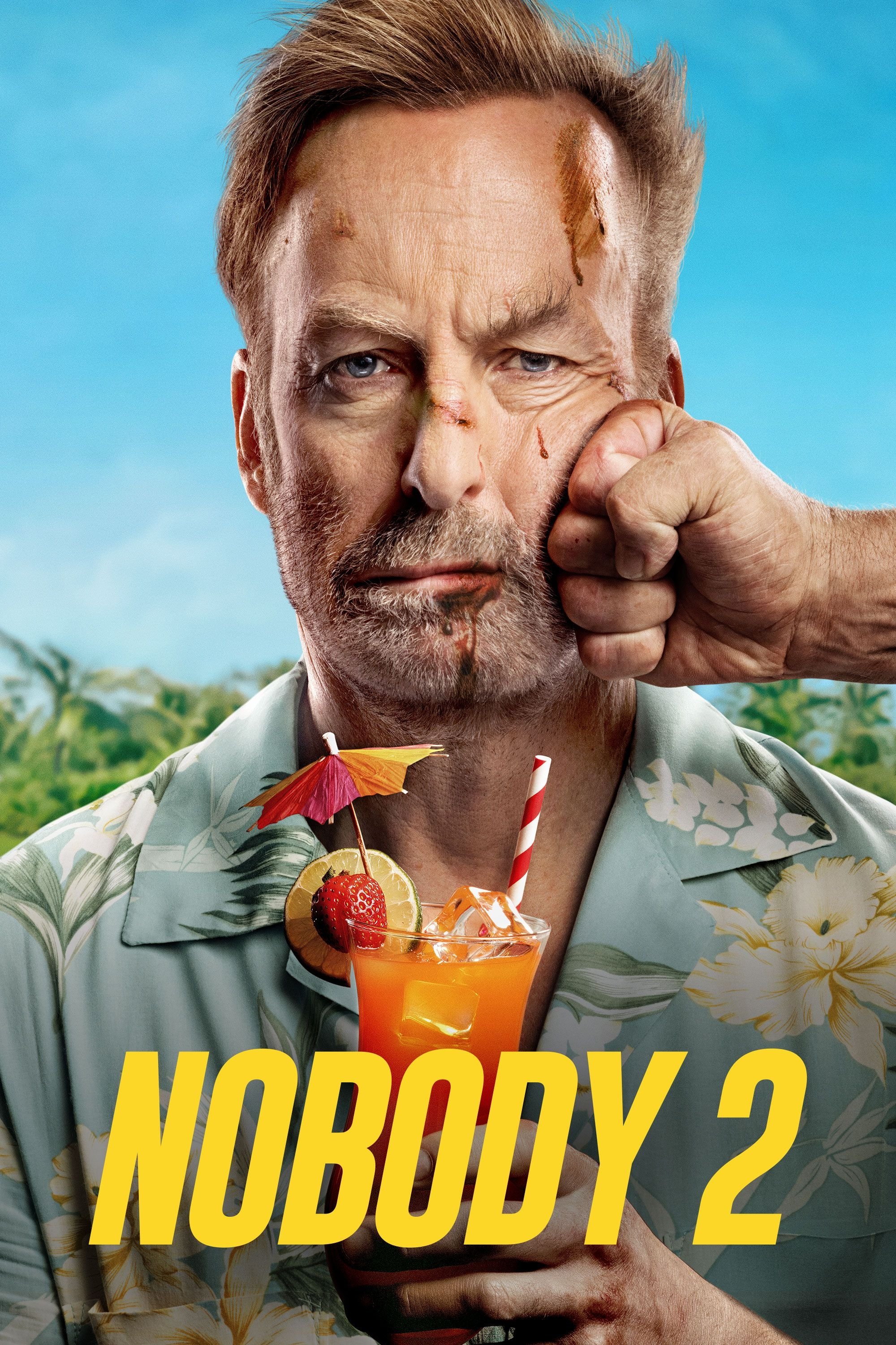 Nobody 2 (2025) Hindi Dubbed